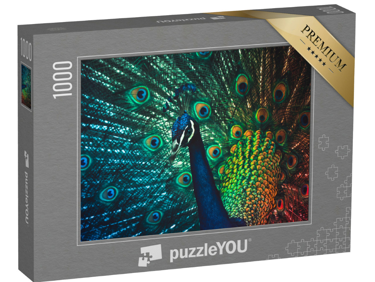 Puzzle 1000 Teile „Männlicher Pfau, Los Angeles Arboretum“