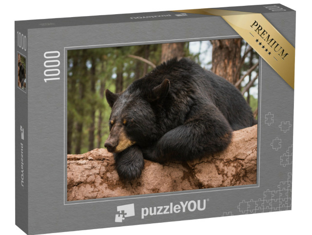 Puzzle 1000 Teile „Ein Bär auf einem Baumstamm“