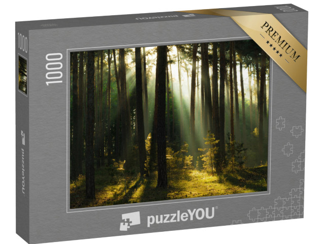 Puzzle 1000 Teile „Sonnenstrahlen im Wald, Harz, Deutschland“