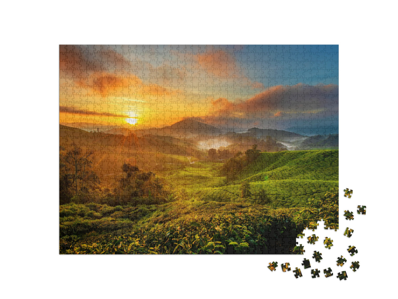 Puzzle 1000 Teile „Sonnenaufgang über einer Teeplantage im Cameron Highland, Malaysia“