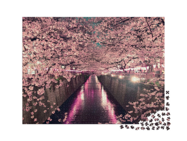 Puzzle 2000 Teile „Kirschblüten bei Nacht in Tokio“