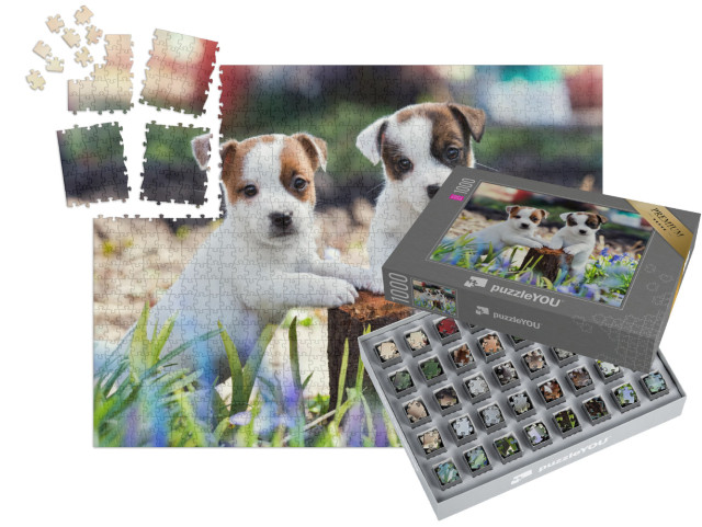 Puzzle „Zwei süße Jack Russell Welpen“ | SMART SORTED® 1000 Teile