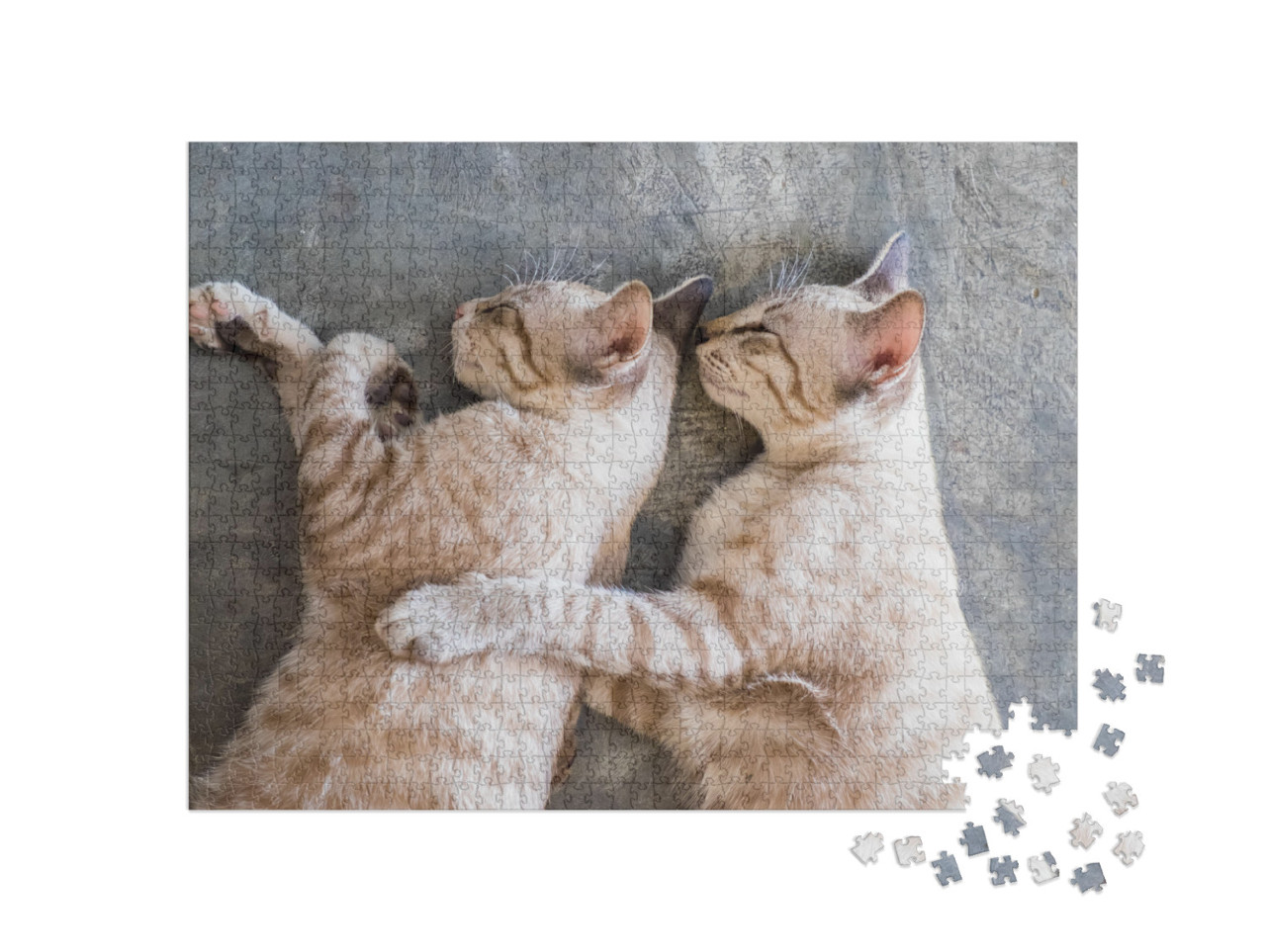 Puzzle 1000 Teile „Zwei Katzen beim Mittagsschlaf“