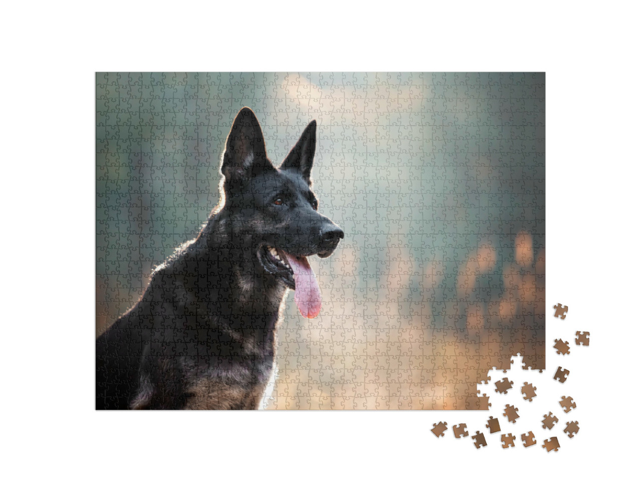 Puzzle 1000 Teile „Ein schwarzer Schäferhund in Nahaufnahme“