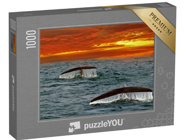 Puzzle 1000 Teile „Flossen von Blauwalen im Indischen Ozean, Sri Lanka“