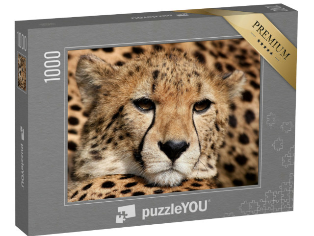 Puzzle 1000 Teile „Porträt eines Geparden“