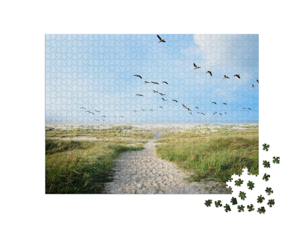 Puzzle 1000 Teile „Ein großer Schwarm Löffelenten über den Dünen von Langeoog, Deutschland“