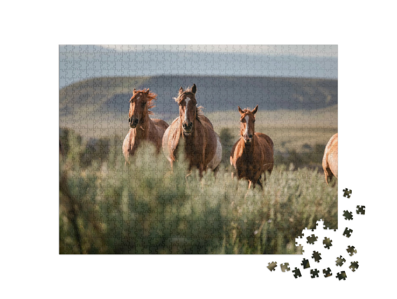 Puzzle 1000 Teile „Wunderschöne amerikanische Quarter Horse Ranch Pferde, Wyoming“
