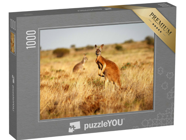 Puzzle 1000 Teile „Rotes Känguru im Grasland des australischen Outbacks“
