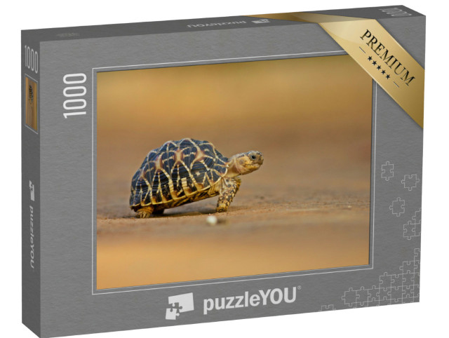 Puzzle 1000 Teile „Indische Sternschildkröte“
