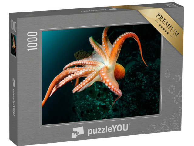 Puzzle 1000 Teile „Flug eines Riesenkraken in der Tiefsee“