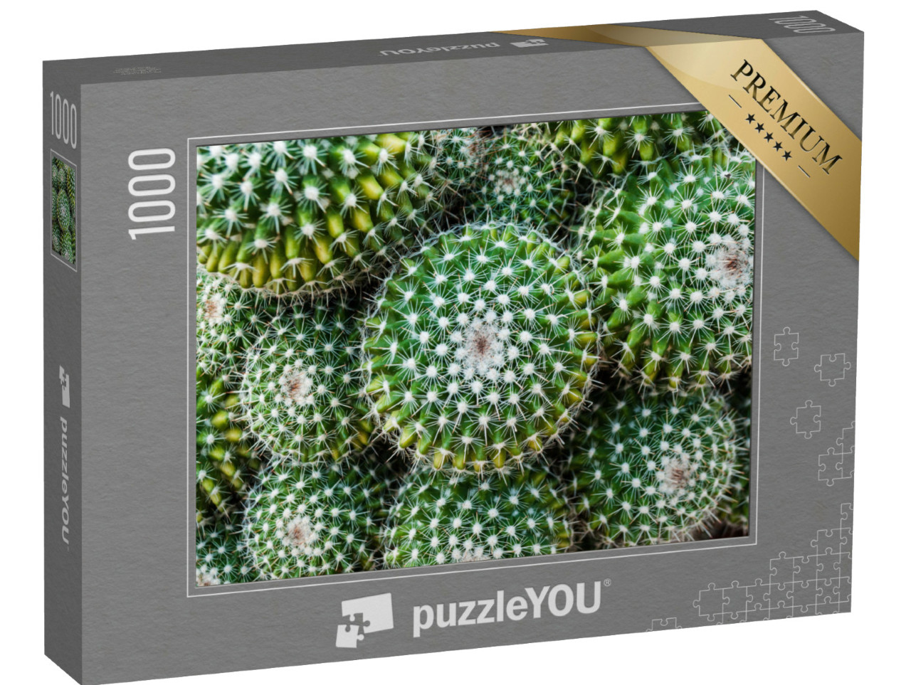 Puzzle 1000 Teile „Nahaufnahme des Goldenen Tonnenkaktus aus Zentralmexiko“