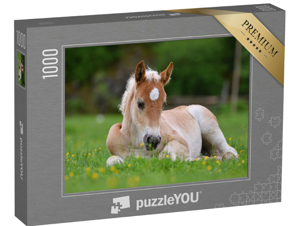 Puzzle 1000 Teile „Wunderschönes Fohlen im Gras“