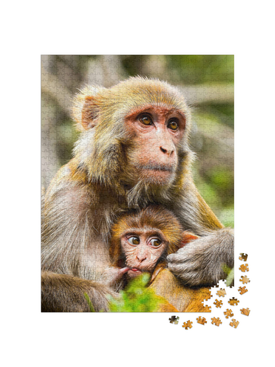 Puzzle 1000 Teile „Eine Affenmutter mit Baby “