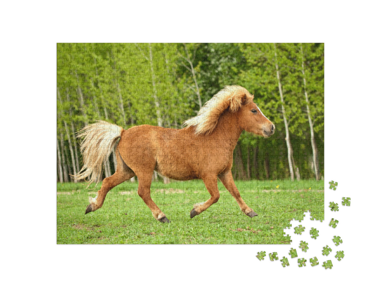 Puzzle 1000 Teile „Pony im Trab auf einer Sommerwiese“