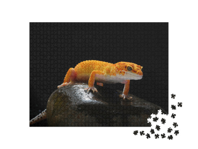 Puzzle 1000 Teile „Gecko, Eidechse, Leopard-Eidechsengecko“