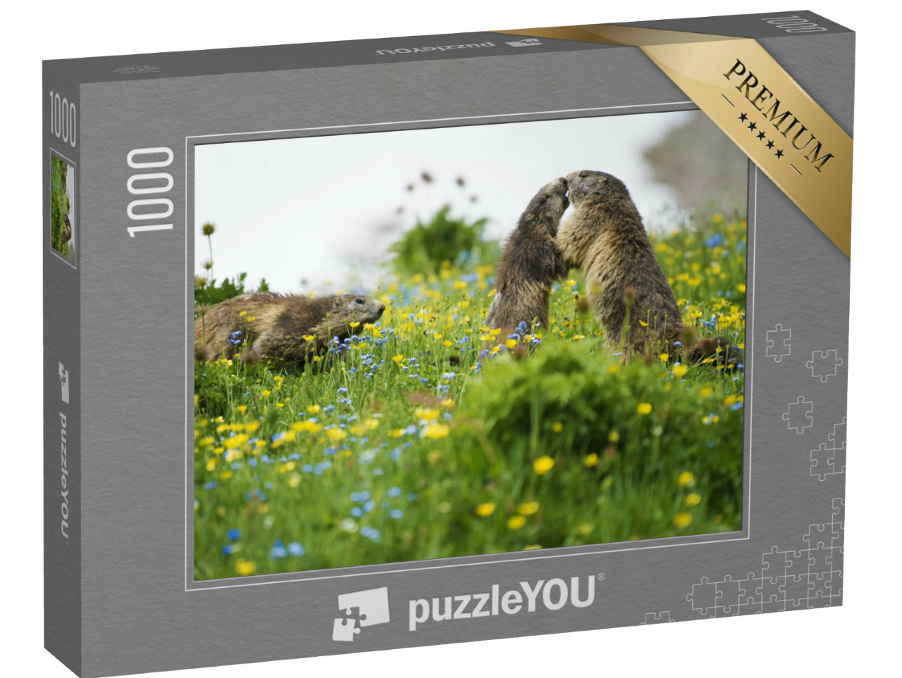 Puzzle 1000 Teile „Szene eines Murmeltier-Rituals der Anerkennung“