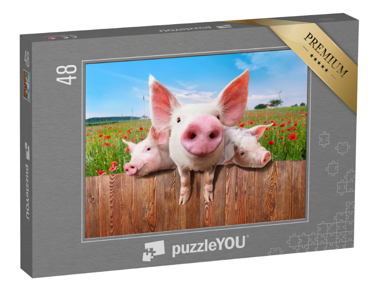 Puzzle 48 Teile „Junge Schweine auf dem Bauernhof schauen über den Zaun“