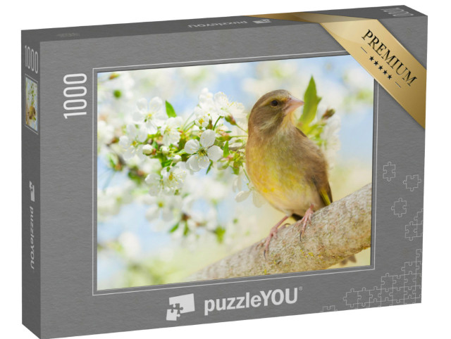 Puzzle 1000 Teile „Grünfink im blühenden Obstbaum“