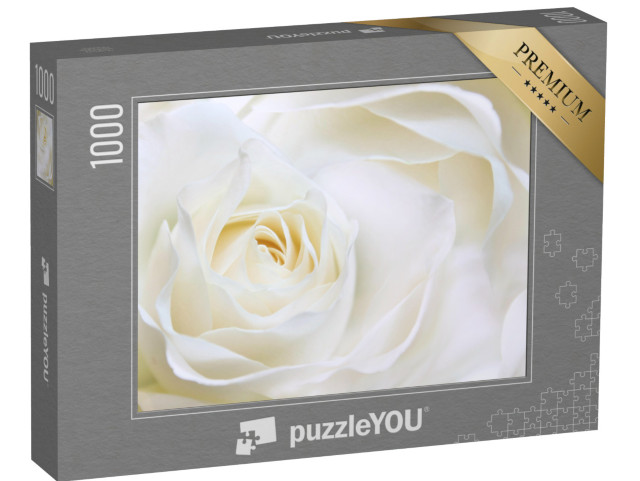 Puzzle 1000 Teile „Weiße Rose als Nahaufnahme“