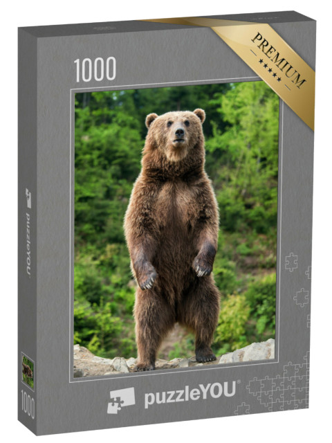 Puzzle 1000 Teile „Ein Braunbär zur Frühlingszeit“