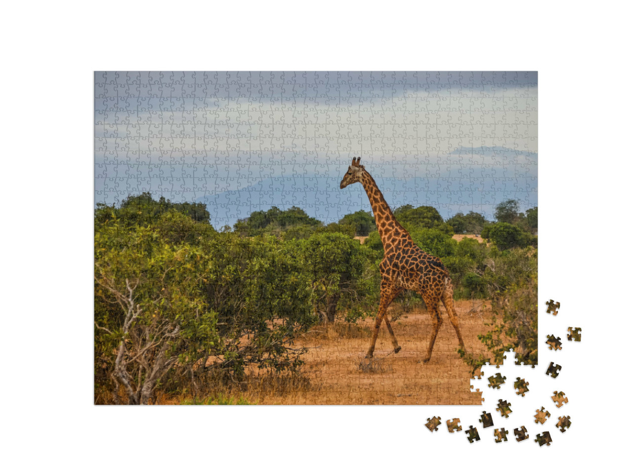 Puzzle 1000 Teile „Giraffe inmitten der kenianischen Savanne“