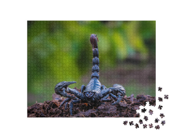Puzzle 1000 Teile „Schwarzer Ork-Skorpion, der tödliche Riesenskorpion“