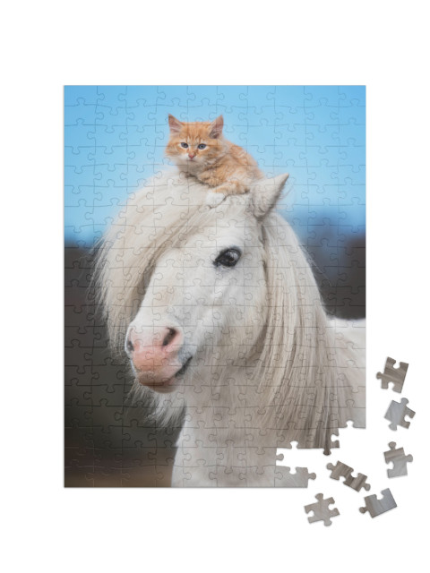 Puzzle 200 Teile „Kleines rotes Kätzchen auf dem Kopf eines weißen Shetlandponys“