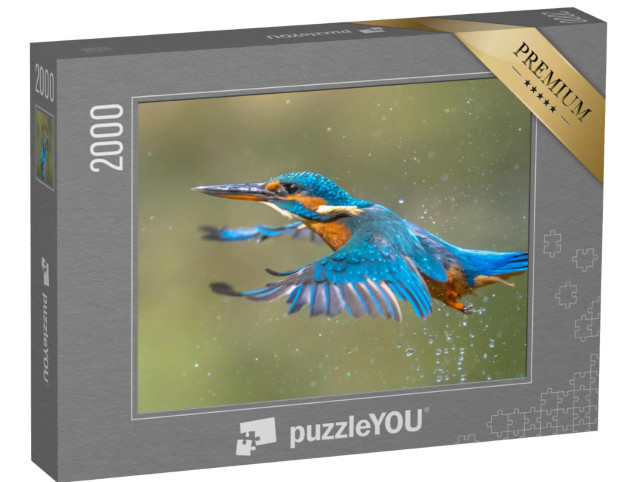 Puzzle 2000 Teile „Der Eisvogel fliegt nach dem Auftauchen aus dem Wasser“
