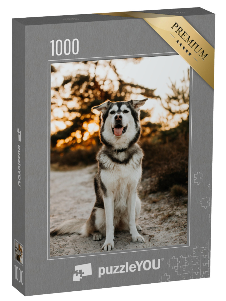 Puzzle 1000 Teile „Husky Golden Retriever Mix“