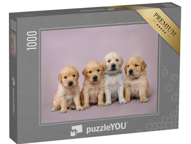 Puzzle 1000 Teile „Vier kleine Golden Retrieve Welpen “