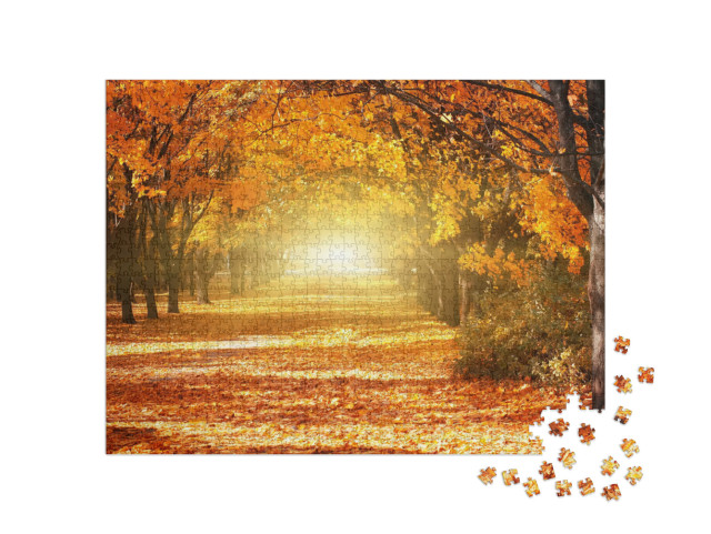 Puzzle 1000 Teile „Allee aus goldenen Herbstbäumen“