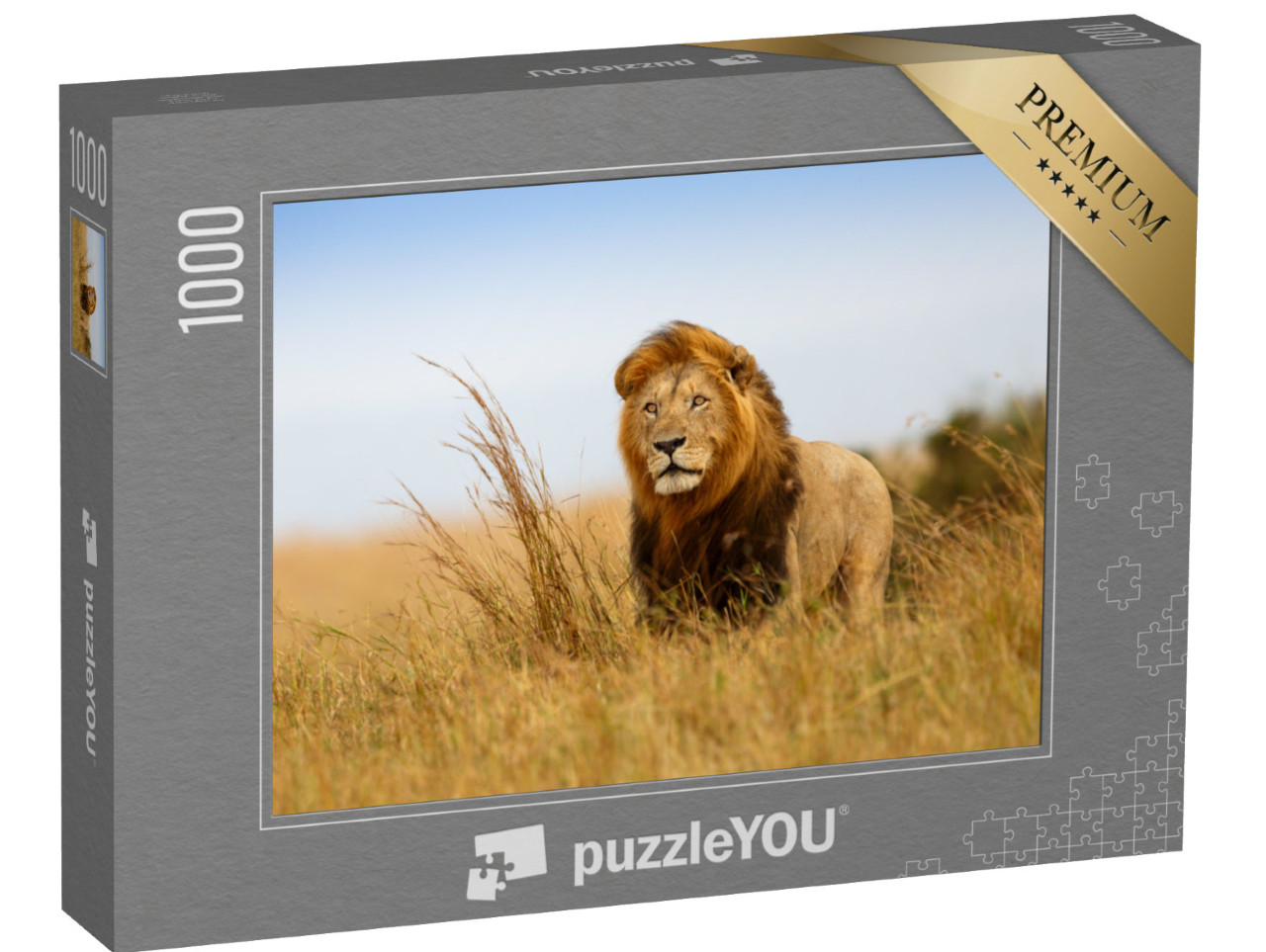 Puzzle 1000 Teile „Ein Löwe im goldenen Gras der Masai Mara, Kenia“