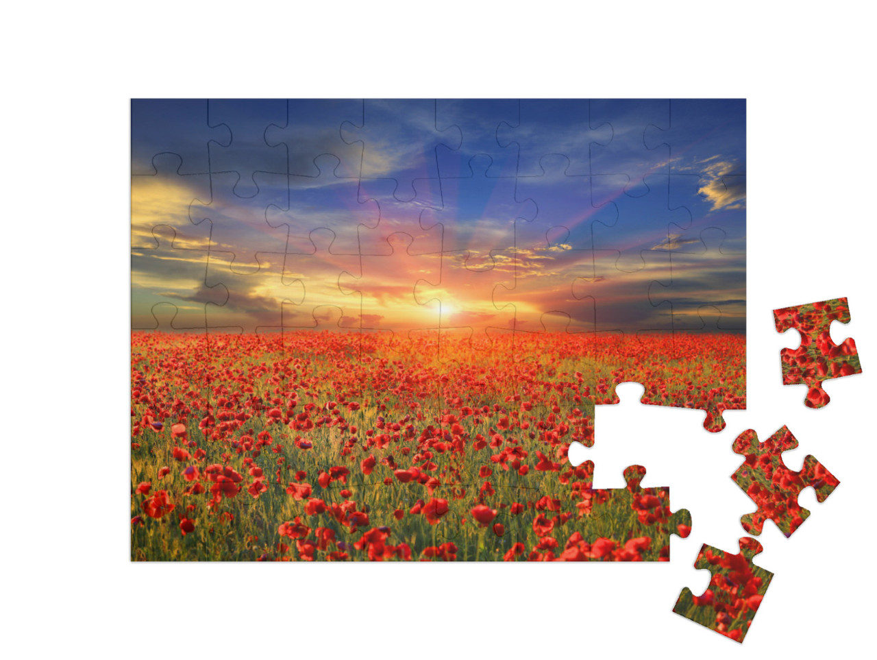 Puzzle 48 Teile „Sonnenuntergang über Mohnfeld“