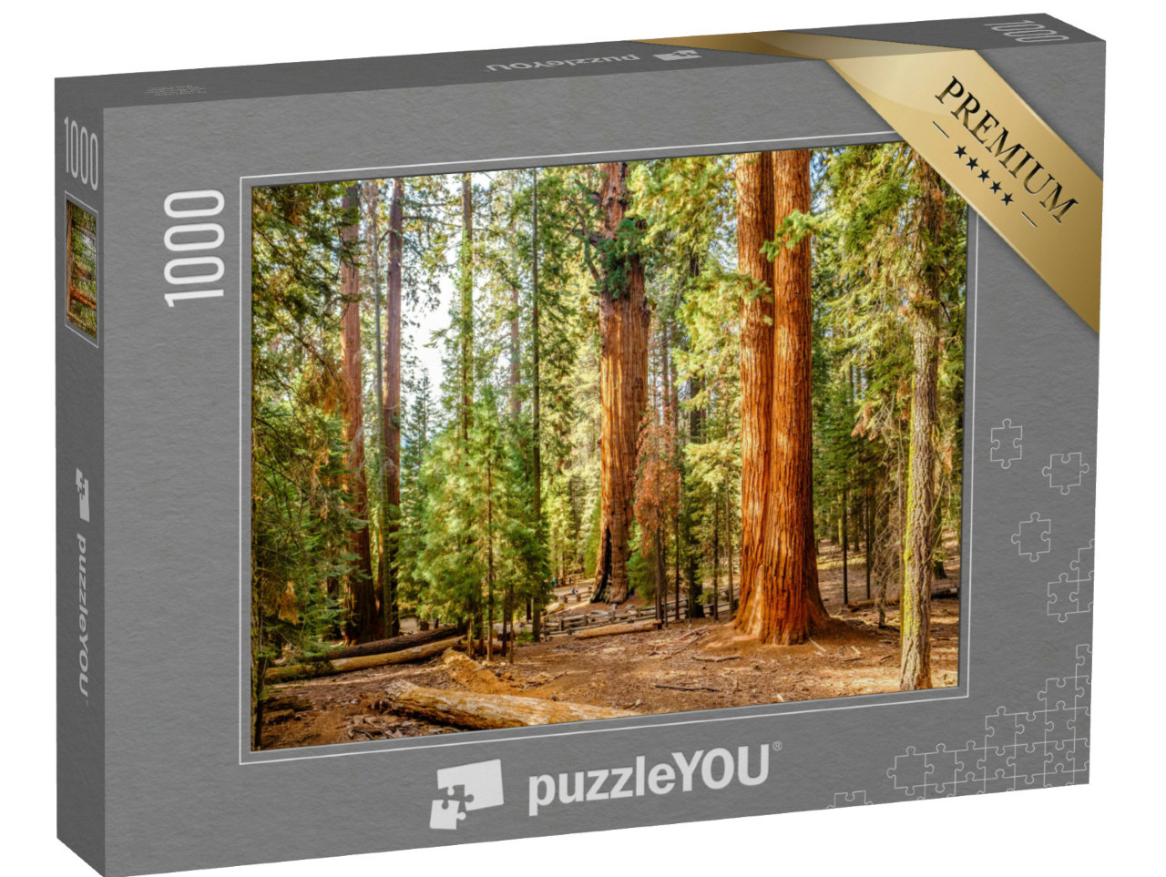 Puzzle 1000 Teile „Sequoia National Park im Herbst, Kalifornien, USA“