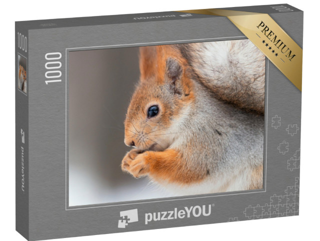 Puzzle 1000 Teile „Eichhörnchen mit Nüssen“