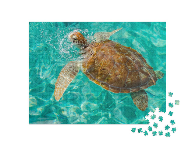 Puzzle 1000 Teile „Schildkröte in Westpunt, Karibikinsel Curacao“