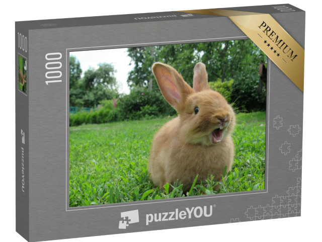 Puzzle 1000 Teile „Kleines gähnendes Kaninchen“
