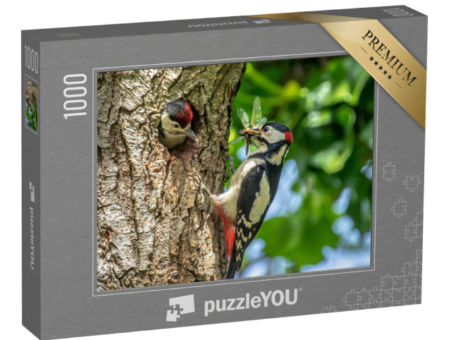 Puzzle 1000 Teile „Buntspecht bei der Fütterung eines Kükens“