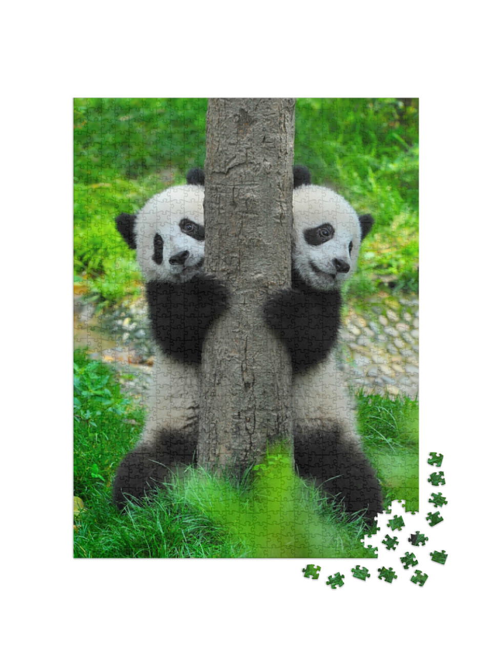 Puzzle 1000 Teile „Pandabär-Zwillinge“
