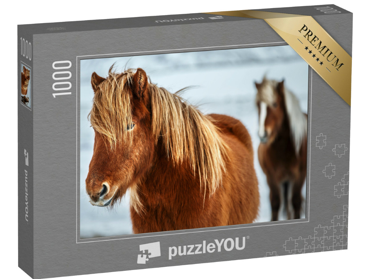Puzzle 1000 Teile „Porträt eines schönen Islandpferdes “