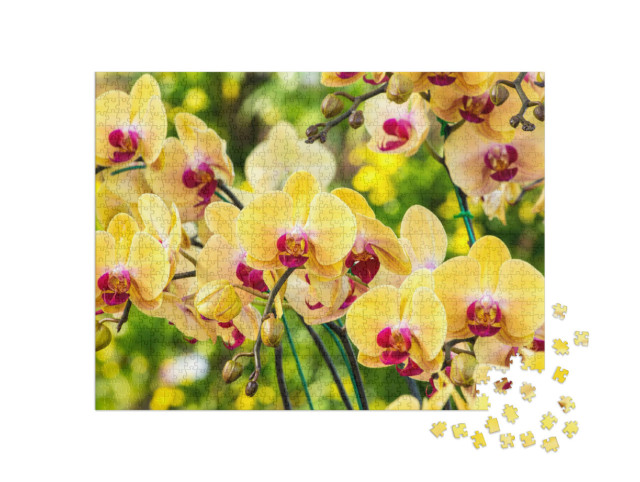 Puzzle 1000 Teile „Wunderschöne gelbe Orchidee“