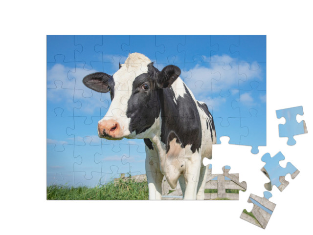 Puzzle 48 Teile „Auge in Auge mit einer Kuh“