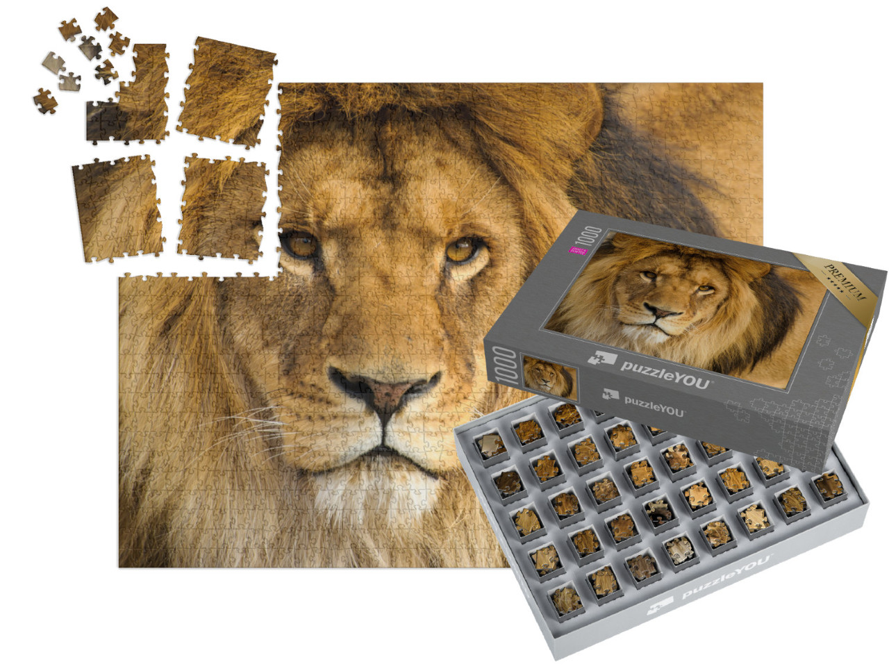 Puzzle „Portrait eines männlichen Löwen“ | SMART SORTED® 1000 Teile