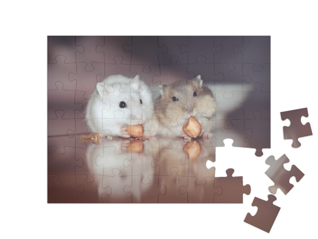 Puzzle 48 Teile „Zwei süße russische Hamster knabbern Nüsse“