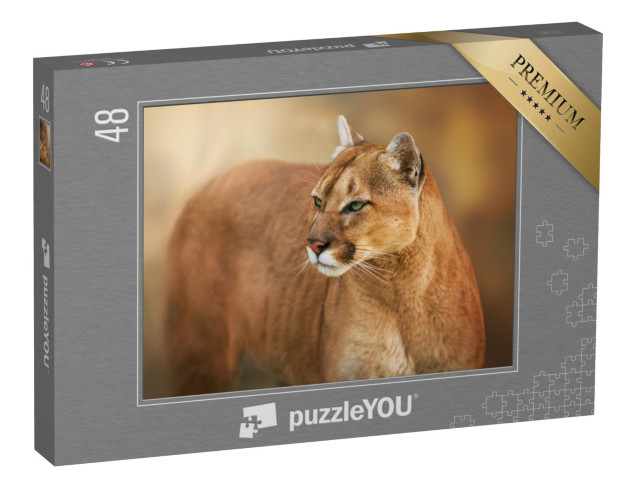 Puzzle 48 Teile „Puma mit grünen Augen“