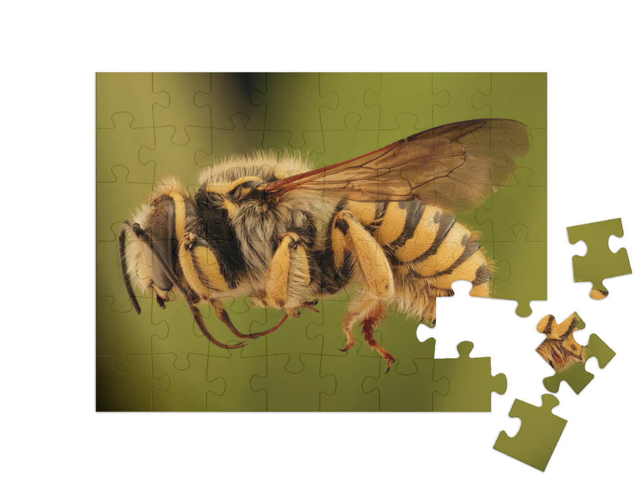Puzzle 48 Teile „Eine fliegende Biene “
