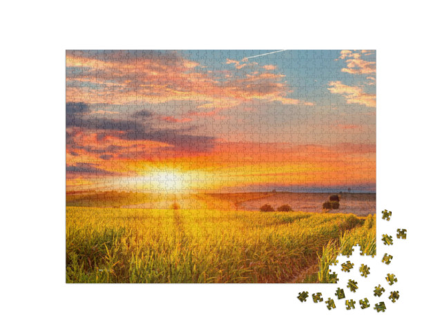 Puzzle 1000 Teile „Sonnenaufgang über einem Maisfeld“