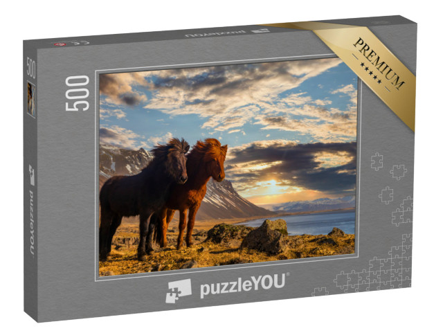 Puzzle 500 Teile „Zwei Island-Pferde an der Küste im Sonnenuntergang“