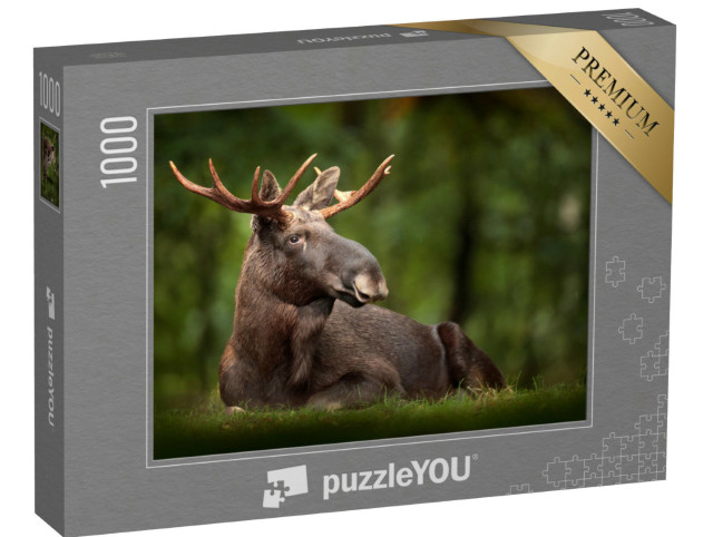 Puzzle 1000 Teile „Elch “
